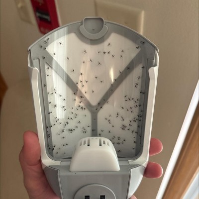 Guest review image 1 of 2, zoom in