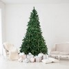 Northlight Full Two-Tone Buckeye Glittered Pine Artificial Christmas Tree - 12' - Unlit - image 2 of 4