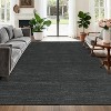 Coucheta Rug for Bedroom Machine Washable Area Rugs with Non Slip Backing Non Shedding Stain Resistant Minimalist Floor Cover Carpet Low Pile - 4 of 4