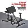 2-In-1 Roman Chair & Preacher Curl Bench - Multi-Function Hyperextension Bench, Adjustable Height, Arms Exercise, Ab Workout, Glute & Leg Extension - 2 of 4