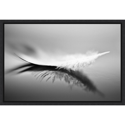 Amanti Art Black and White Feather Canvas Print with Floating Frame