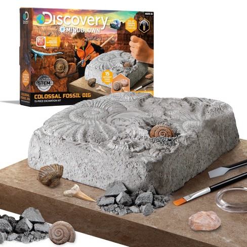 Discovery #mindblown Colossal Fossil Dig 15pc Excavation Kit : Target