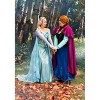 HalloweenCostumes.com Frozen Elsa Costume | Officially Licensed Disney Premium Womens Outfit Long Sleeve Top,  Cape and Corset - 4 of 4