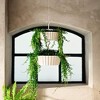 Tree Nest Sunny Lace Round Hanging Planter - 2 of 4