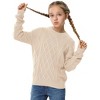 Girls Long Sleeve Cable Knit Sweater Crewneck Pullover Sweaters Kids Chunky Cute Fall Jumper Tops - 2 of 3