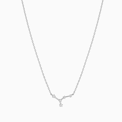 Bearfruit Jewelry Constellation Necklace - 12 Zodiac Constellation