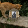 4x6 Monty Stepped Carved Natural Mango Wood Photo Picture Frame w/ Glass Pane - 2 of 4