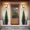 3-5FT Artificial Cedar Topiary Trees for Indoor and Outdoor UV Protection Fake Trees for Home Decor Set of 2 - 2 of 4