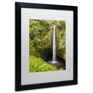 Trademark Fine Art -Chris Moyer 'Akaka Falls' Matted Framed Art - 1 of 4