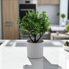 Unique Bargains Artificial Plants Coin Chrysanthemum with Cylinder Vase Plastic 3.15"x3.15"x9.45" 1 Pc - 2 of 4