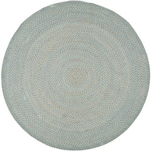Braided BRD170 Hand Woven Area Rug  - Safavieh - 1 of 4
