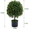 Artificial Topiary Trees Set of 2  Fake Topiary Boxwood Ball Tree with Fruits  Faux Shrubs Plants Green Decor Indoor Porch Garden Decorative Plastic - 3 of 3
