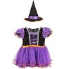 HalloweenCostumes.com Infant Purple Ribbon Witch | Satin Baby Velour Dress with Mesh Ruffles & Felt Hat, Halloween Skirt - 4 of 4
