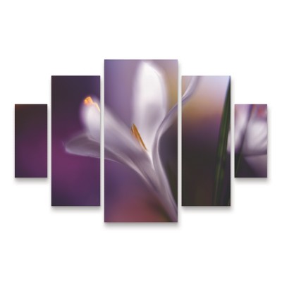 Trademark Fine Art Heidi Westum  Midnight Crocus 5 Piece Panel Set Art