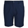 Weekender Men's Sandalwood Performance Stretch Flat Front 9" Short - image 2 of 4