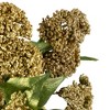 Allstate Floral 18" Champagne Gold Glittered Snowball Artificial Christmas Spray - 4 of 4