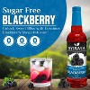 Syruvia Sugar Free Blackberry Syrup - 25.4 fl oz. Premium Flavoring Syrup For Coffee - 2 of 4