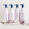 Noodle & Boo Lavender Newborn 2-In-1 Hair and Body Wash - 16 fl oz - 3 of 3