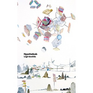 Hypotheticals - by  Leigh Kotsilidis (Paperback) - 1 of 1
