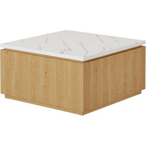 Lantine 31.5" Square Coffee Table, Modern Wood Center Table Cocktail Furniture for Living Room - 1 of 4
