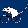 Men's Design By Humans Cycling Rat By TeaandInk T-Shirt - 2 of 3