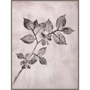 32" x 42" Elm I Brown by Pernille Folcarelli Framed Canvas Wall Art Print - Amanti Art: Modern Style, Polystyrene Frame, Botanical Theme - 1 of 4
