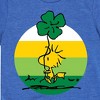 Boys' - Peanuts - Woodstock Shamrock Short Sleeve Graphic T-Shirt - 2 of 4