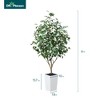 DR.Planzen 72" Artificial Ficus Tree - 6FT UV Resistant Fake Plant with Silk Leaves & 15.7" Planter for Indoor House Plants, Floor & Tall Faux Trees - 3 of 4