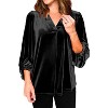 Womens Velvet Tops 3/4 Lantern Sleeve V Neck Flowy Blouse Elbow Sleeve Fall Blouse Elegant Velvet Shirts Christmas Party Holiday Tunic Shirts - 3 of 4