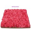 Floral Home 5" Stem Long Hot Pink Carnation Pick - 100-Piece - 4 of 4