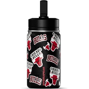 NBA Chicago Bulls 14oz Kids Stainless Steel Water Bottle With Straw Lid and Flexible Handle - 1 of 4