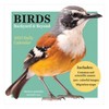 TF Publishing 2025 Daily Desktop Calendar 5.25"x5.25" Birds Backyard and Beyond - image 4 of 4