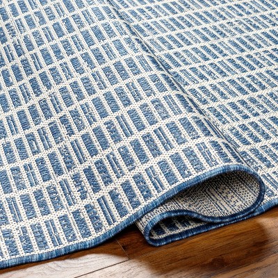 Amena Blue and Gray Rectangular Polypropylene Area Rug