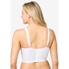 Amoureuse Women's Plus Size  Longline Embroidered Bra - 3 of 4