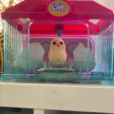 Little Live Pets Surprise Chick Play Set - Playpolis