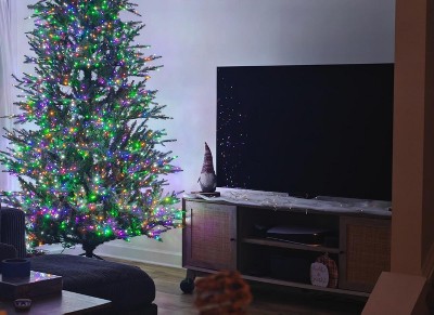 Guest review image 2 of 4, zoom in