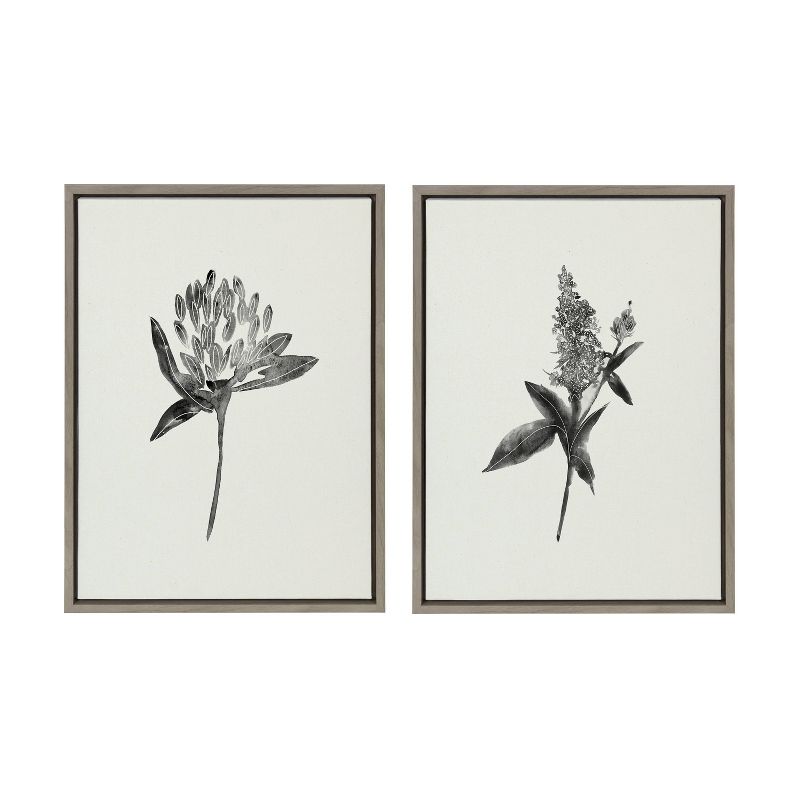 (Set of 2) 18&#34; x 24&#34; Sylvie Vintage Botanical 1 and 2 Framed Canvas Gray - Kate &#38; Laurel All Things Decor, 1 of 8