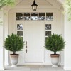 24 Inch Artificial Cedar Topiary Ball Trees Set of 2 Faux Cypress Plants with Ground Spike UV Resistant Artificial Bushes Front Porch Decor Fake Shru - 2 of 4