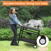 Sturdy Steel Outdoor Grill Cart with Great Carrying Capacity, Multi-Function Design for BBQ Prep, Grilling, and More - 3 of 4