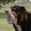 KONG Corestrength Bamboo Ring Dog Toy - Blue - image 2 of 3