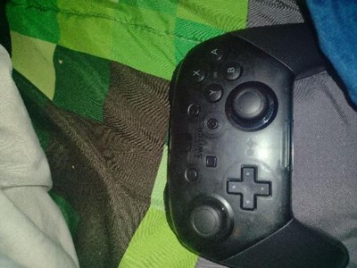 Pro Controller