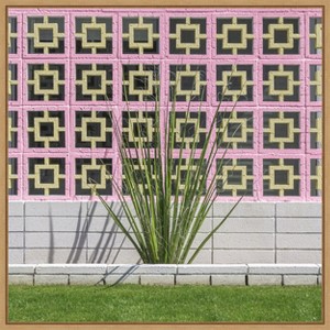 Amanti Art Mid Century Breeze Block Wall with Cactus by Tom Windeknecht Canvas Wall Art Print Framed - 1 of 4