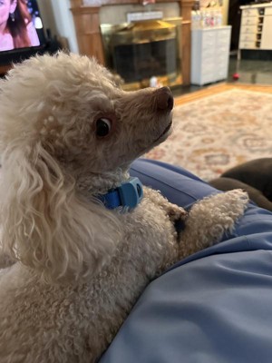 Guest review image 1 of 1, zoom in