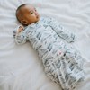 embe 0-3mo Long Sleeve Swaddle Sack, Convertible, Arms-In/Arms-Out, Legs-In/Legs-Out, 3-Pack - 3 of 4