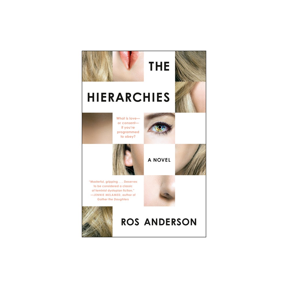 The Hierarchies - by Ros Anderson (Paperback)