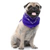 Jordefano Paisley Polyester Set of 5 Dog & Cats Bandana Triangle Bibs  - Regular Size - 2 of 4