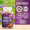 Fiber Gummies for Adults, Daily 4g Gummy Fiber Supplement, Prebiotic Gummy Digestive Health Support - Plant Based Soluble Fiber Chews - 60 Gummies - 3 of 4
