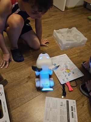 Dog-E Interactive Robot Dog with Colorful LED Lights, 200+ Sounds &  Reactions, App Connected (Ages 6+)