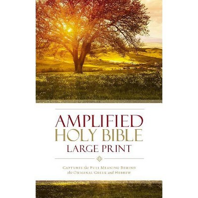  Amplified Bible-Am-Large Print - by  Zondervan (Hardcover) 