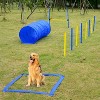 Competition Dog Agility Equipment Obstacle Course Set for Outdoor Backyard - 2 of 4